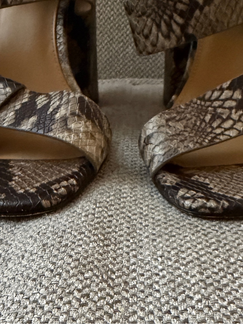 Calvin Klein Snake-Print Ankle-Strap Heels - Brown/Black - Picture 5 of 7